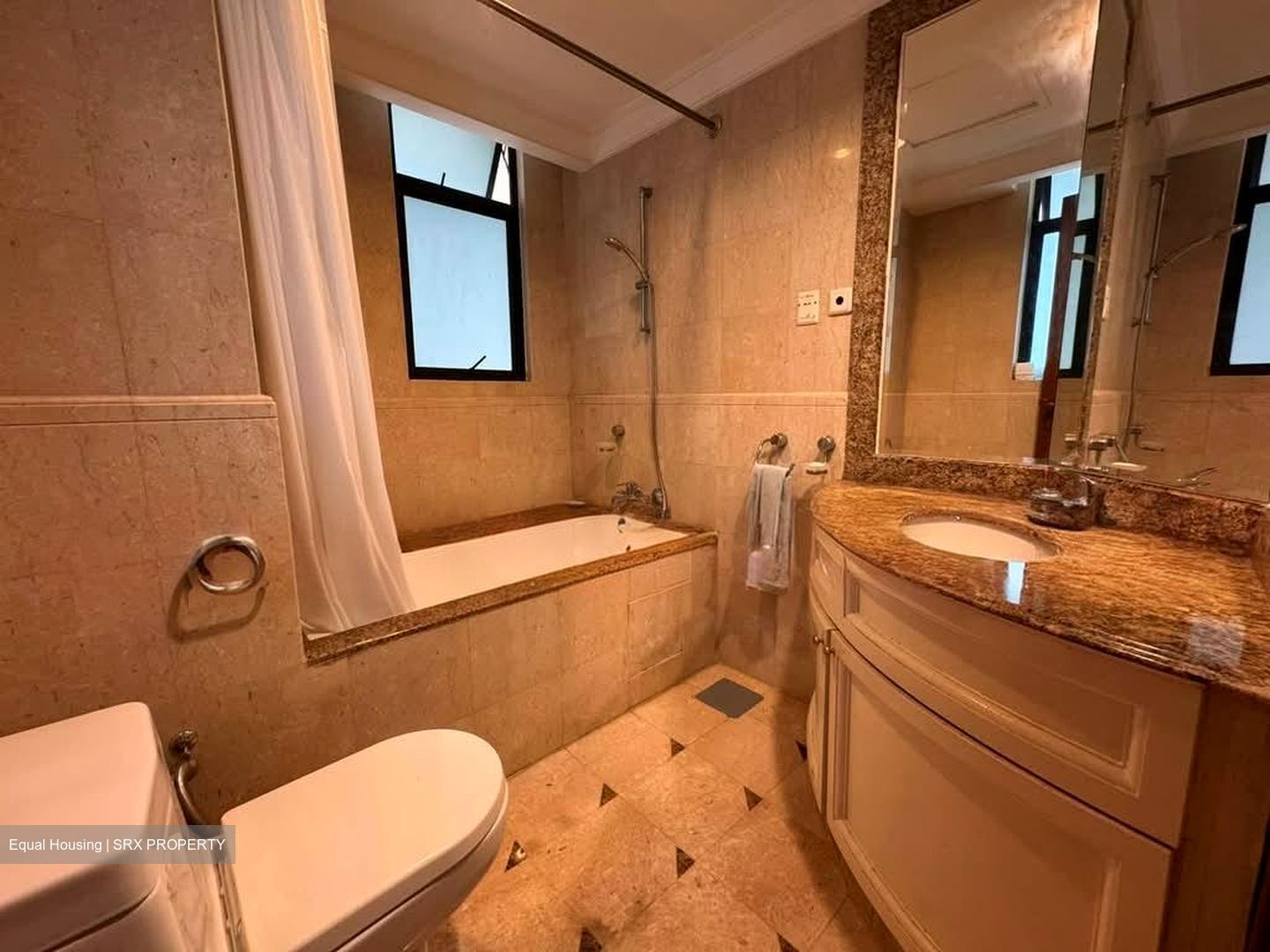 Valley Park (D10), Condominium #556063311